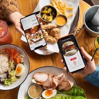 skeat-web-app.jpg